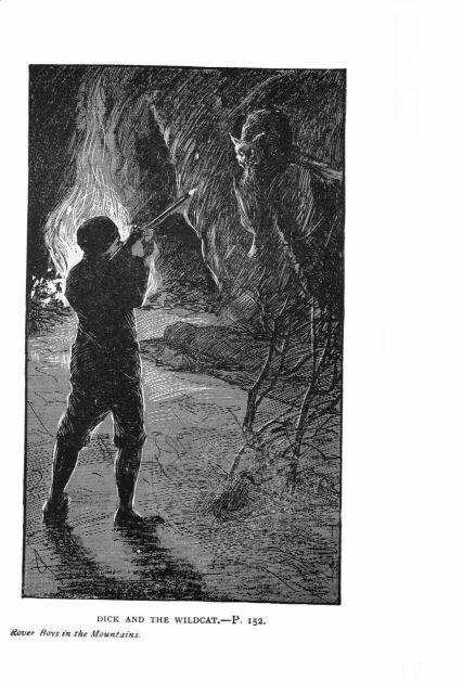 Illustration: DICK AND THE WILDCAT.&mdash;P. 152 Rover Boys and the
Mountains.