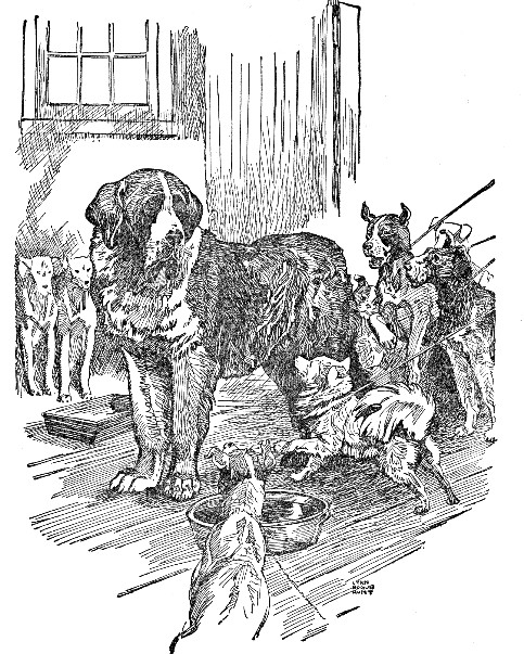 "'You must be crazy! this is the pound!' snapped the tiny creature."
