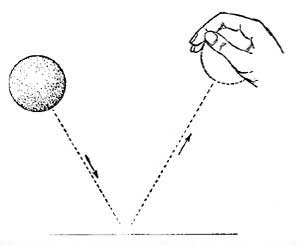 FIG. 61.&mdash;A bouncing ball illustrates the law of
reflection.
 
