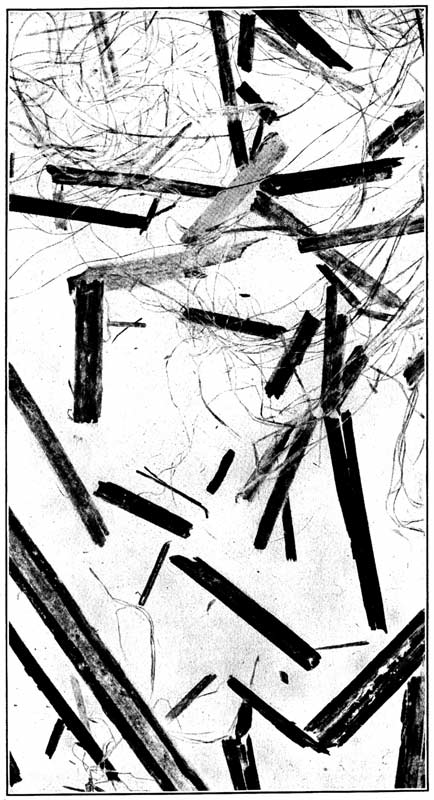 A representative sample of hemp hurds,
natural size, showing hemp fiber and pieces of wood tissue. A representative sample of hemp hurds,
natural size, showing hemp fiber and pieces of wood tissue.