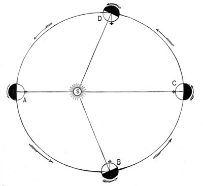 Diagram showing that, owing to the Eccentricity of its Orbit, and its Varying Velocity, Mercury, although making but One Turn on its Axis in the Course of a Revolution about the Sun, nevertheless experiences on Parts of its Surface the Alternation of Day and Night. Diagram showing that, owing to the Eccentricity of its Orbit, and its Varying Velocity, Mercury, although making but One Turn on its Axis in the Course of a Revolution about the Sun, nevertheless experiences on Parts of its Surface the Alternation of Day and Night.