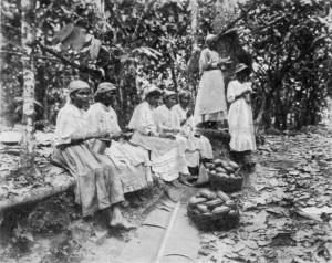 WORKERS ON A CACAO PLANTATION.
(Messrs. Cadbury's estate in Trinidad.)
