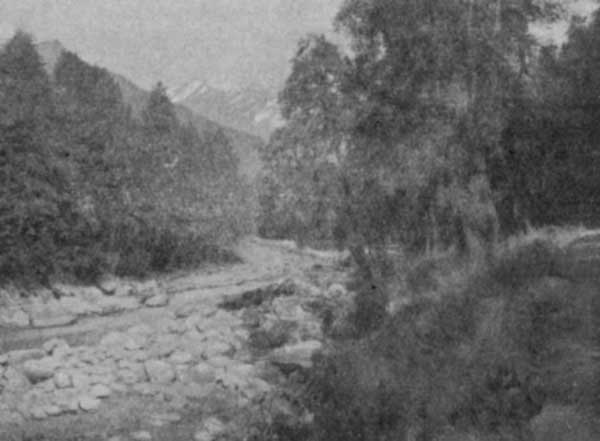 Fig. 15. Bi&aacute;s at Man&aacute;l&iacute;.