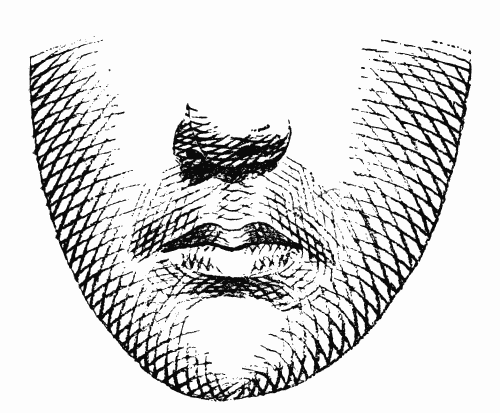 LINE EFFECT FOR FACE.

From the Annual Encyclopedia. Copyrighted, 1891, by D. Appleton & Co.