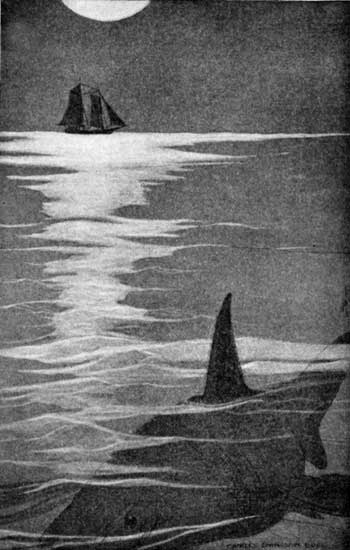 "ONLY THAT SHARP BLACK FIN, THAT PROWLED AND PROWLED,
KEPT ALWAYS IN SIGHT"