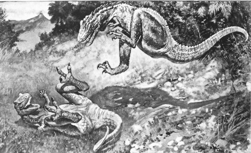 By permission of the American Museum of Natural History

Restoration of a carnivorous Dinosaur, Allosaurus, from the Upper
Jurassic and Lower Cretaceous of Wyoming. When erect the animal was
about 15 feet high