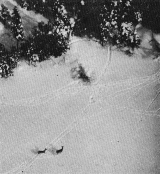 Figure 5.&mdash;Under unusually deep snow conditions,
deer used lake shores heavily. (Photo
courtesy of L. D. Mech.)