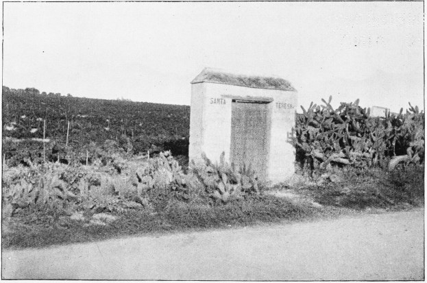Plate XXXVI.

GATEWAY AND VINEYARD.

Page 325.