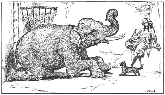 The elephant kneels after the dog bites its trunk