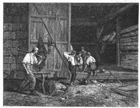 A Surprise. By MOUNT.

Copyright, 1879, by Harper and Brothers.