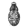 Fig. 408. Epeira
labyrinthea.