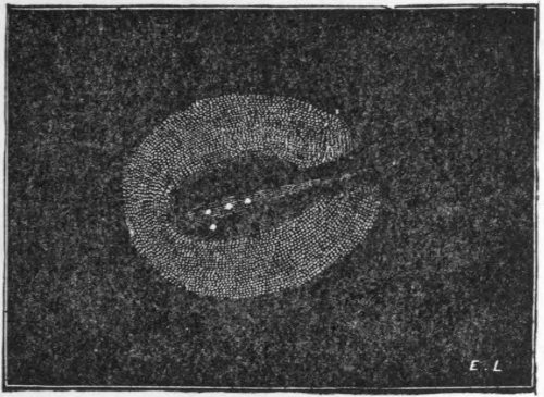 Fig. 23.&mdash;Holmes&rsquo;s Comet, Nov. 16, 1892 (Denning).