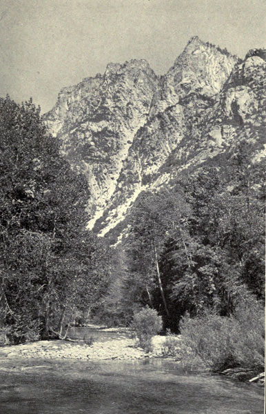 A Trout Stream in
the Sierra Nevada (King&rsquo;s River)