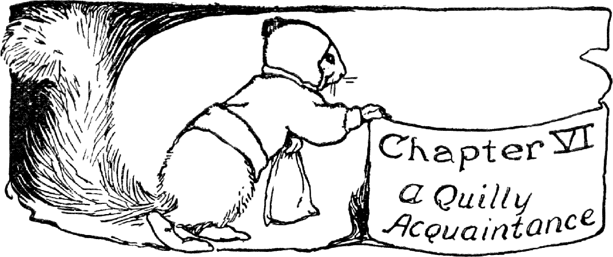 Chapter VI
A Quilly Acquaintance