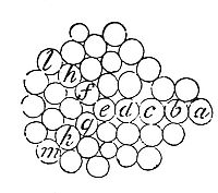 A pressure is
not propagated through a fluid in rectilinear directions unless where
the particles of the fluid lie in a right line.